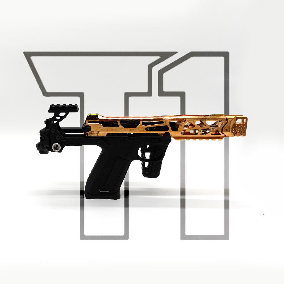 Versace - Custom Pre Build AAP-01 – Takeoneairsoft