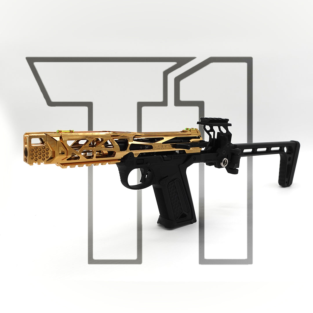 Versace - Custom Pre Build AAP-01 – Takeoneairsoft