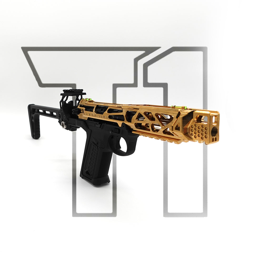 Versace - Custom Pre Build AAP-01 – Takeoneairsoft